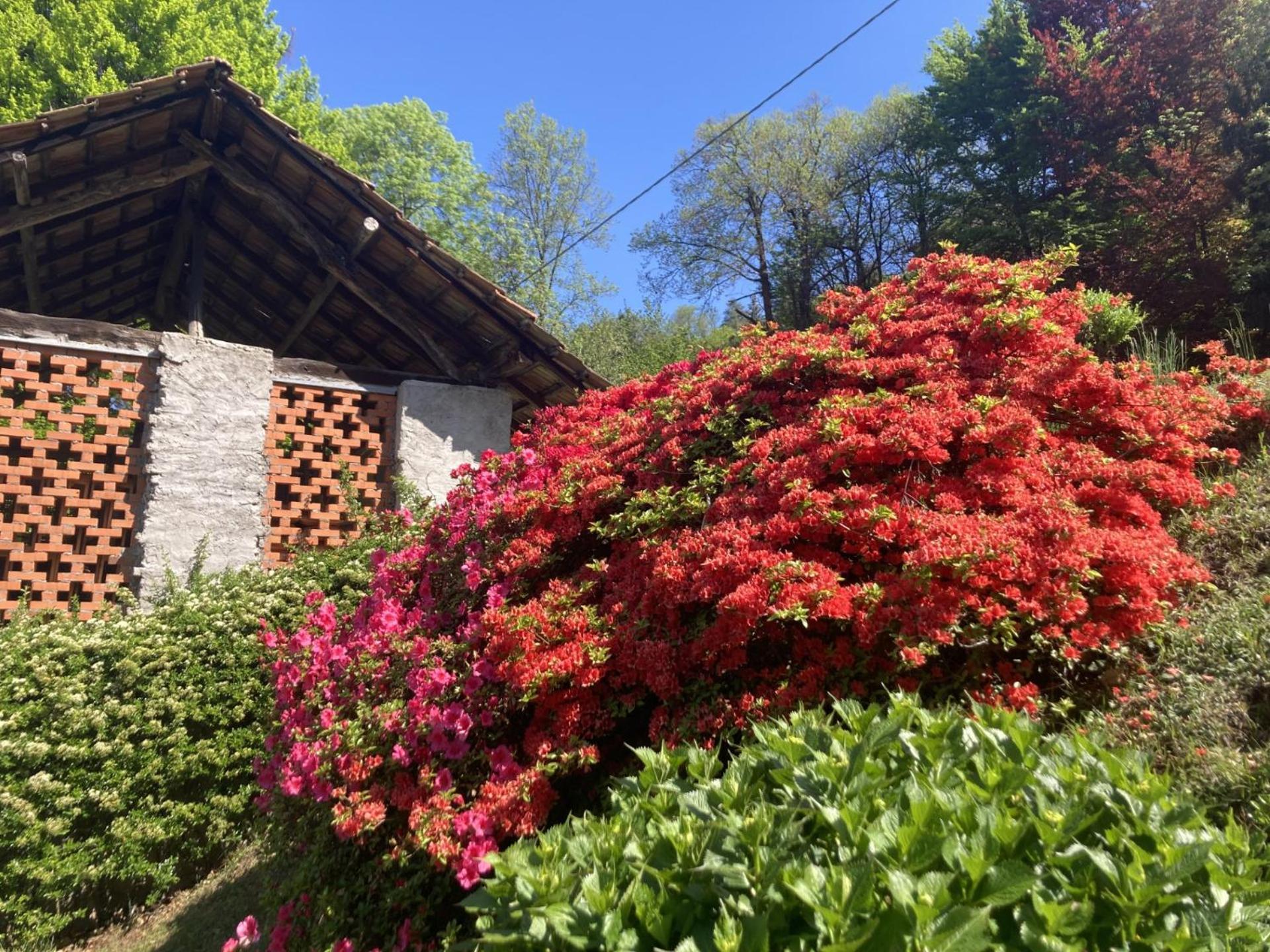 La Tonaccia - B&B Per Due Orta San Giulio Eksteriør billede